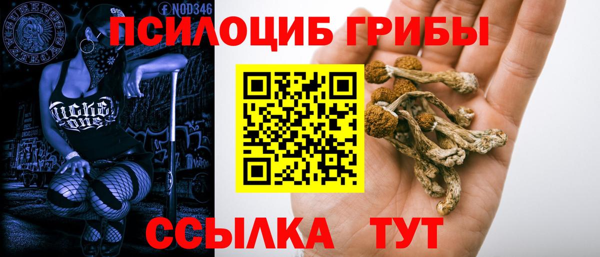 Псилоцибиновые грибы мухоморы  Вход с VPN  Тобольск  Псилоцибиновые грибы Cubensis 